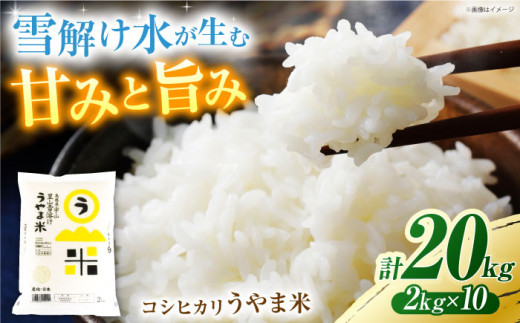 【新米】【先着10個限定】雪解け水で育った 島根県産「うやま米 コシヒカリ（雲南市吉田町）」20kg(2kg×10) 島根県松江市/有限会社藤本米穀店 [ALCG011]