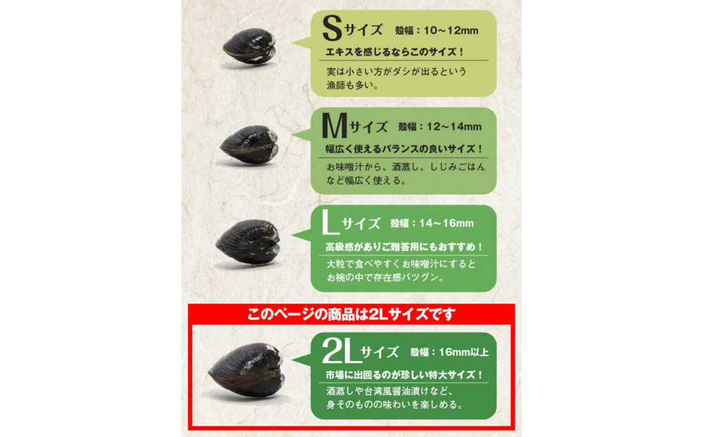 たっぷりエキスの特大しじみ！島根県宍道湖産大和しじみ砂抜き済み