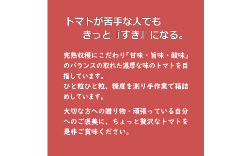 【定期便3回】出雲からのぞみトマト糖度8〜10を毎月お届け！【3-071】