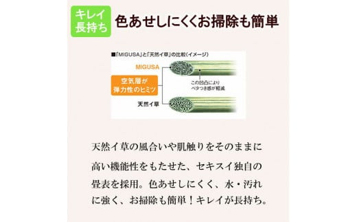 MIGUSAキッチンマット（２．４ｍ-オータムリーブス）