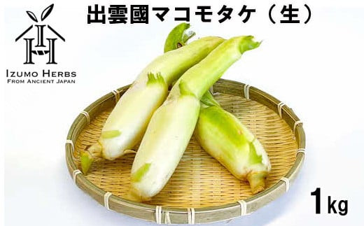 出雲國マコモタケ（生） 1kg 出雲市産　【2026年9月上旬以降発送】