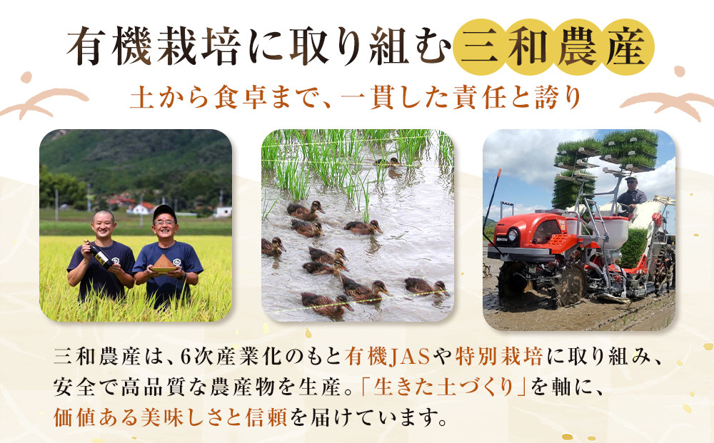 かむほどに口に広がる美味しさ　玄米おかき「いづも美人」