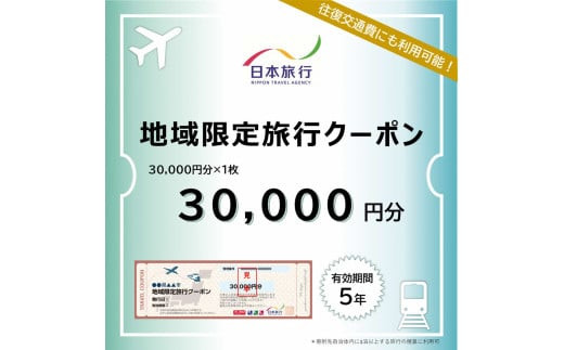 島根県出雲市　日本旅行　地域限定旅行クーポン30,000円分
