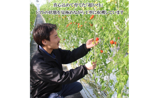 超トマトゼリー　６個セット