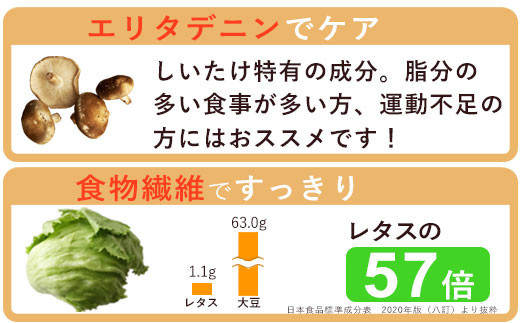 ぬかっち しいたけパウダー 120g 3袋セット