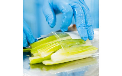 【2026年4月～9月お届け】季節限定　春夏おすすめ漬物７品セット