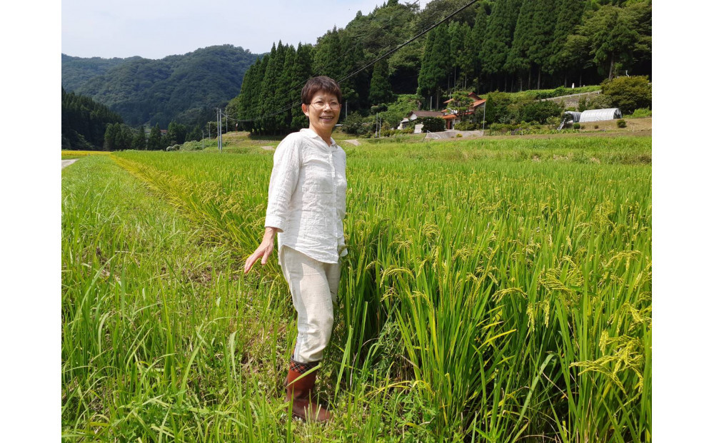 【令和7年産】有機肥料米ナオちゃんのお米【出雲市産きぬむすめ】5kg（1袋）美味しい お米 精米 有機栽培 出雲市産