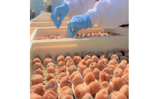 【3か月定期便】出雲漬物 季節の詰合せセット（7～9月）