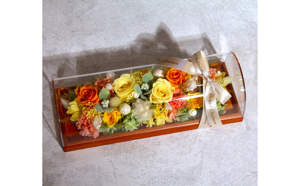 繝峨Ν繝√ぉ 繝輔Λ繝ッ繝シ繧「繝ャ繝ウ繧ク繝。繝ウ繝医宣サ濶イ縲