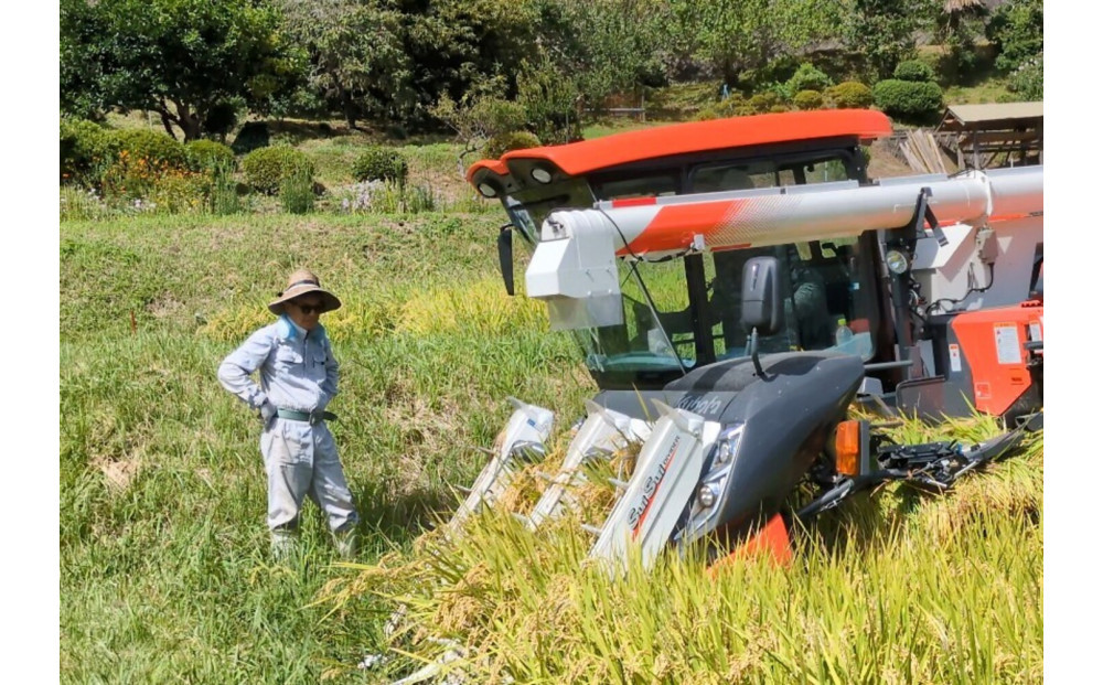 【令和7年産】有機肥料米ナオちゃんのお米【出雲市産きぬむすめ】4kg（1kg×4袋）美味しい お米 精米 贈答 有機栽培 出雲市産