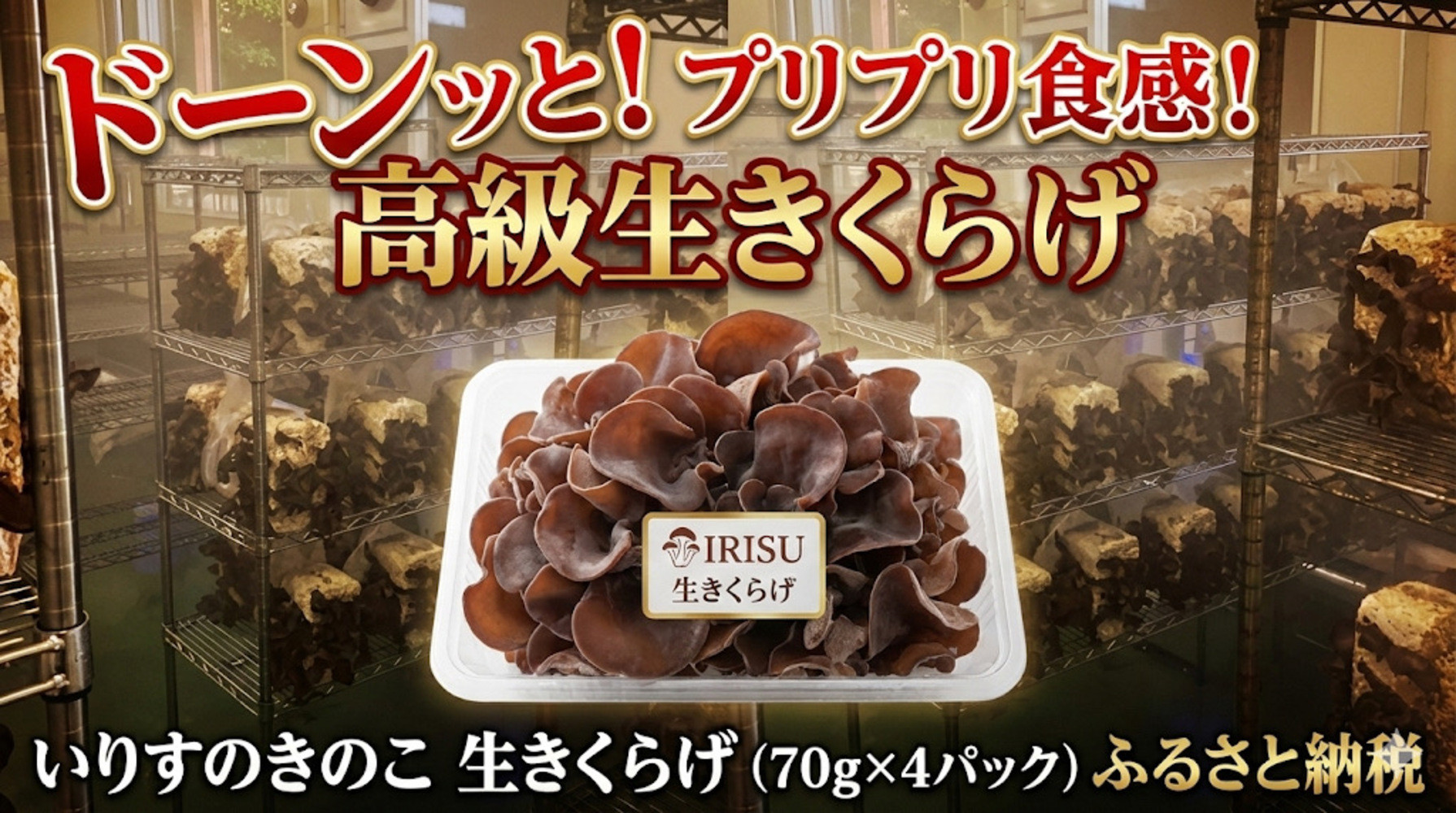 いりすのきのこ 生きくらげ（70g×4パック）