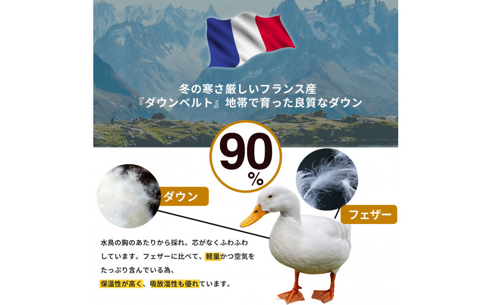 羽毛布団 シングル フランス産 ダックダウン90% 1.3kg (ブルー) ボディーアームスキルト 380dp
