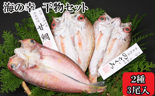 海の幸干物セットC