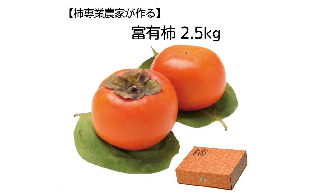 【柿専業の農家が作る】出雲産富有柿　2.5kg【11月下旬以降お届け】