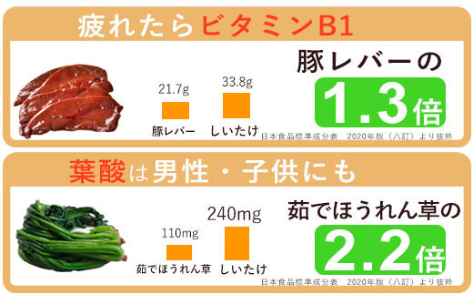 ぬかっち しいたけパウダー 120g 3袋セット
