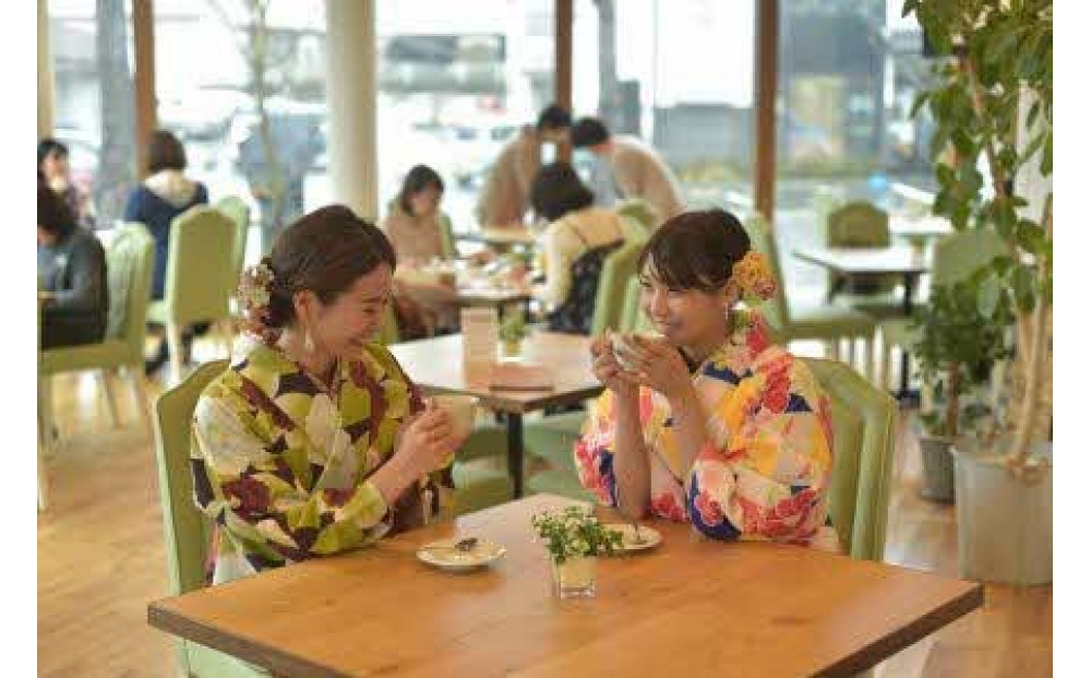 çç©ã¬ã³ã¿ã«çä»ããããã®éžã¹ããã©ã³