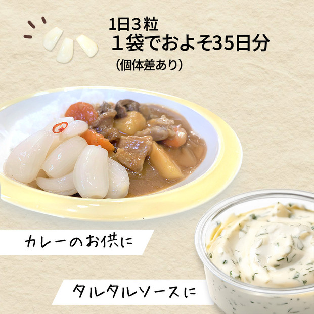 【業務用】鳥取県産砂丘らっきょう　500ｇ×2