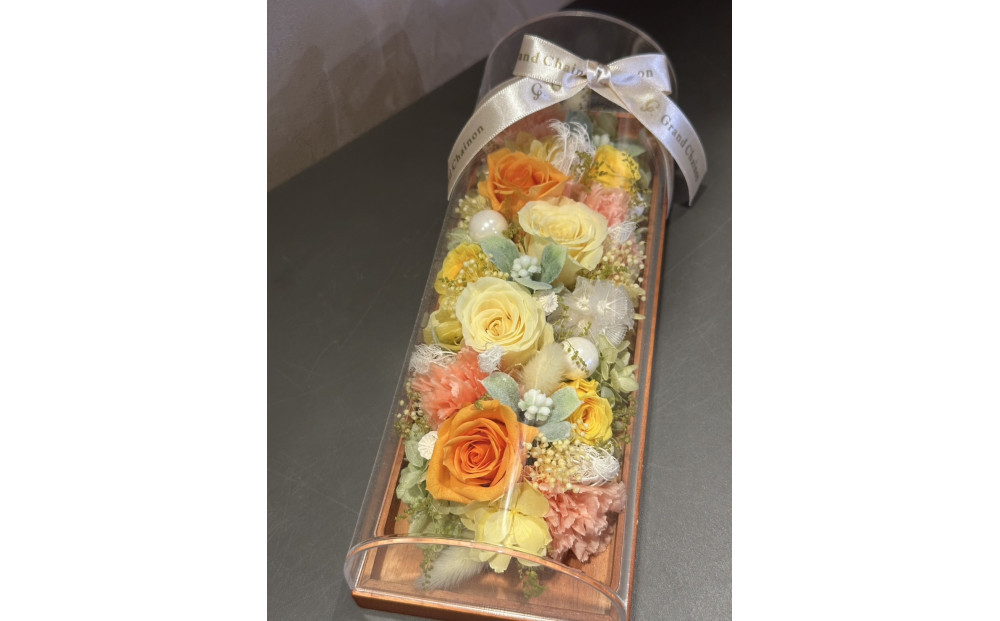 繝峨Ν繝√ぉ 繝輔Λ繝ッ繝シ繧「繝ャ繝ウ繧ク繝。繝ウ繝医宣サ濶イ縲