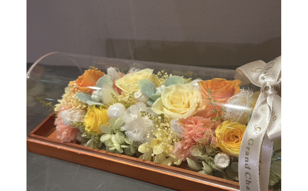 繝峨Ν繝√ぉ 繝輔Λ繝ッ繝シ繧「繝ャ繝ウ繧ク繝。繝ウ繝医宣サ濶イ縲