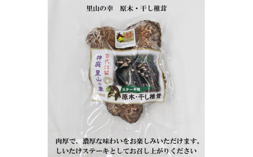 出雲神結米+乾燥ステーキ椎茸【1_1-065】