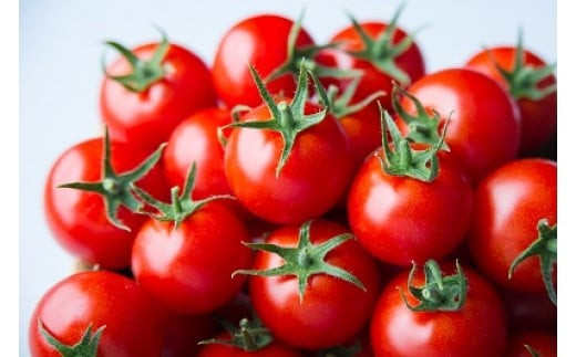 出雲の國からの贈り物～トマトを超えた超トマト１kg