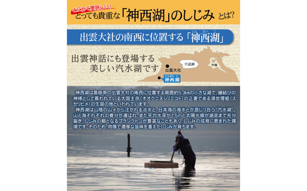 神西湖産冷凍大和しじみ　180ｇ×7Ｐ
