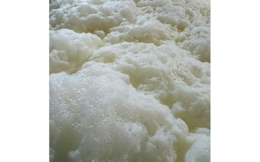 十旭日 熱燗推奨！晩酌おすすめセット