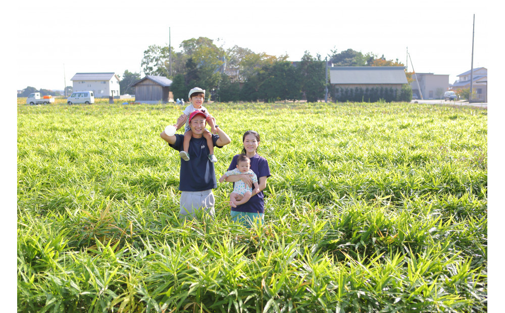 出雲生姜じんじゃエール１０本セット