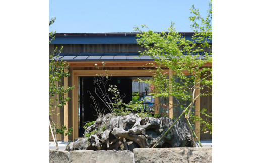 黒柿　コーヒーメジャー　漆塗り