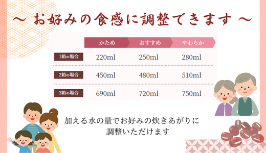 【出雲のおもてなし丹波大納言小豆のお赤飯】食べたいときに炊飯器で簡単・時短/常温/お茶碗3膳分10箱【2_8-005】