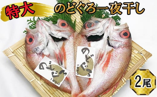 特大 のどぐろ　一夜干し2尾セット