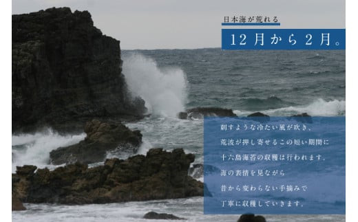 【ギフト】【希少】天然岩のり　十六島海苔（うっぷるいのり）