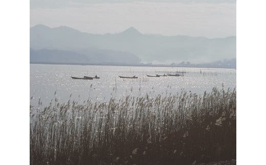【３回定期便】しじみの食べ比べ！宍道湖産＆神西湖産