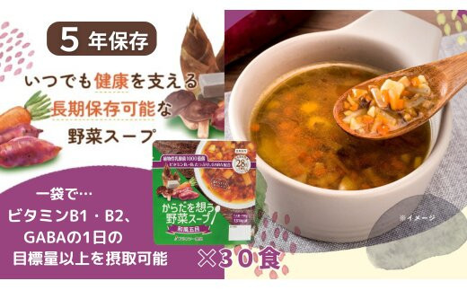 【からだを想う野菜スープ】和風五目30食セット/レトルト/食物アレルギー対応/長期保存/防災食