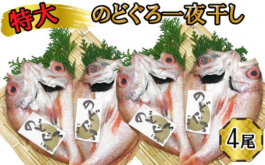 特大 のどぐろ　一夜干し2尾×2箱セット