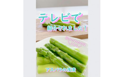 【3か月定期便】出雲漬物 季節の詰合せセット（7～9月）