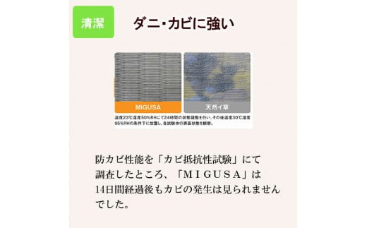 MIGUSAキッチンマット（２．４ｍ-ジオ）