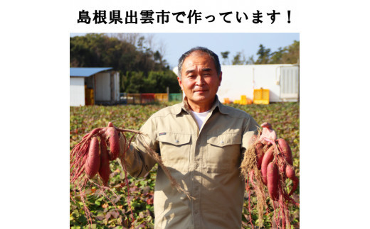 西浜いも（べにはるか）5kg