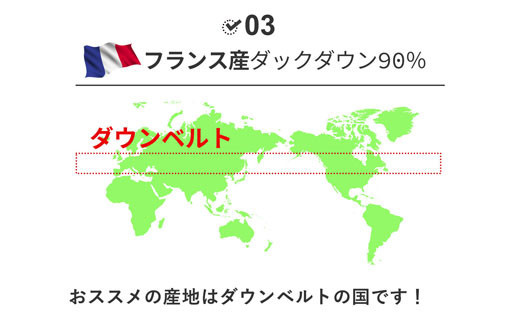 矜æ¯åžå£ ã·ã³ã°ã« ãã©ã³ã¹ç£ ããã¯ããŠã³90% 1.3kg ããã£ãŒã¢ãŒã ã¹ãã«ã 380dp