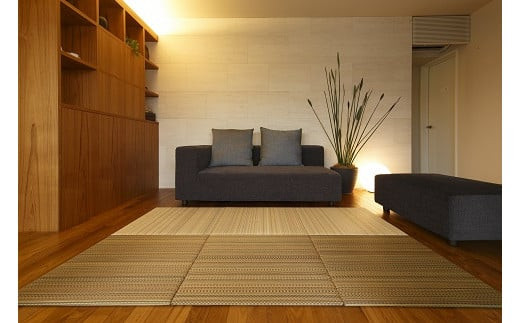 セキスイ畳　「ＭＩＧＵＳＡ」　フロア畳２枚セット