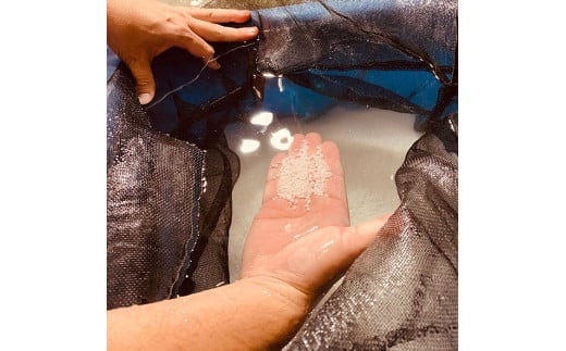 出雲富士　大吟醸・純米吟醸・純米1800ml３本セット