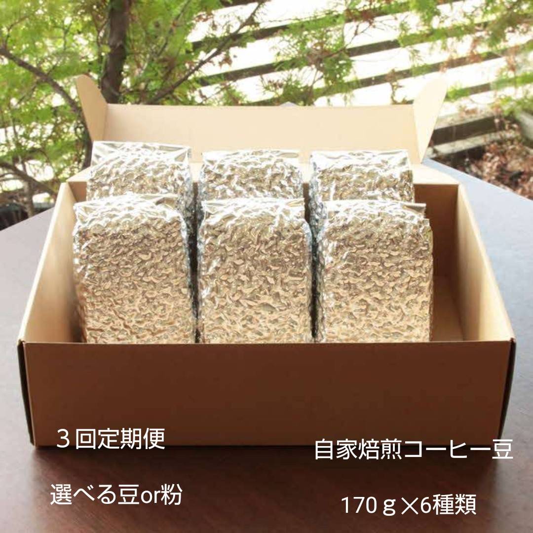 【定期便3回】米国スペシャリティー認定豆170ｇ×6袋を毎月お届け！