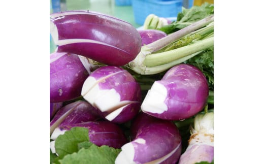 【１１月～１月中旬限定！】出雲漬物おすすめ６品セット