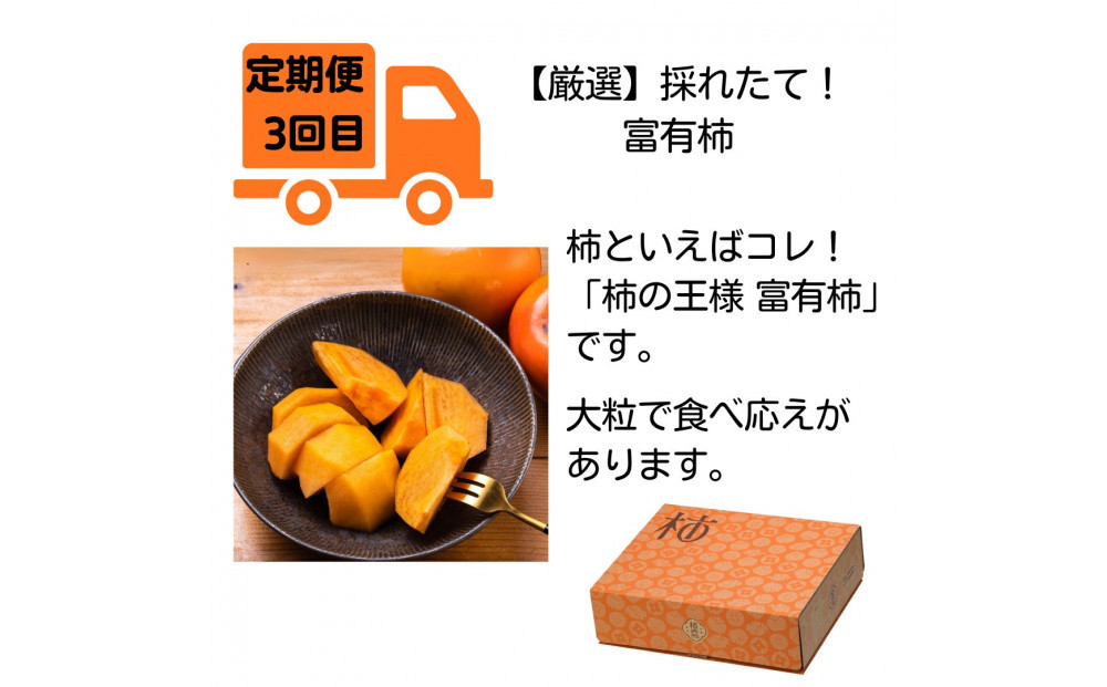 【全4回定期便】【柿専業の農家が作る】出雲の柿3種と旬をたのしむごほうび【2026年10月以降発送】
