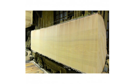 éæã®ãŸãªæ¿ïŒç¹å€§ãéçšïŒ