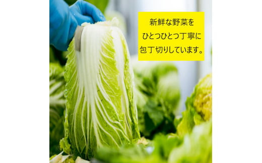 食べきり漬物8品セット