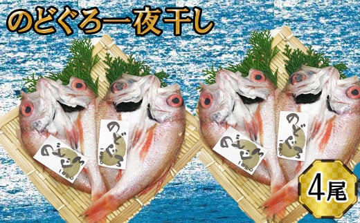 のどぐろ　一夜干し2尾セット×2箱セット