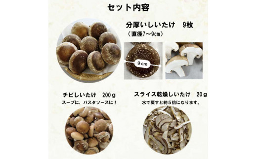 譛晄治繧頑眠魄ョシ∝蜴壹>縺励>縺溘¢縲繝√ン縺励>縺溘¢繧サ繝繝