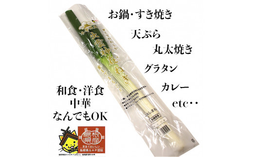出雲神在（かみあり）ねぎ