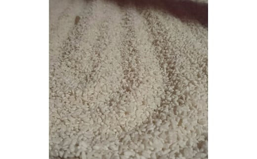 出雲大社御神酒 八千矛セット（純米大吟醸・純米吟醸）